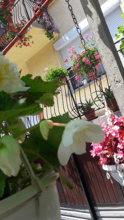 Guest Rooms Ider Saparewa Banja Exterior foto